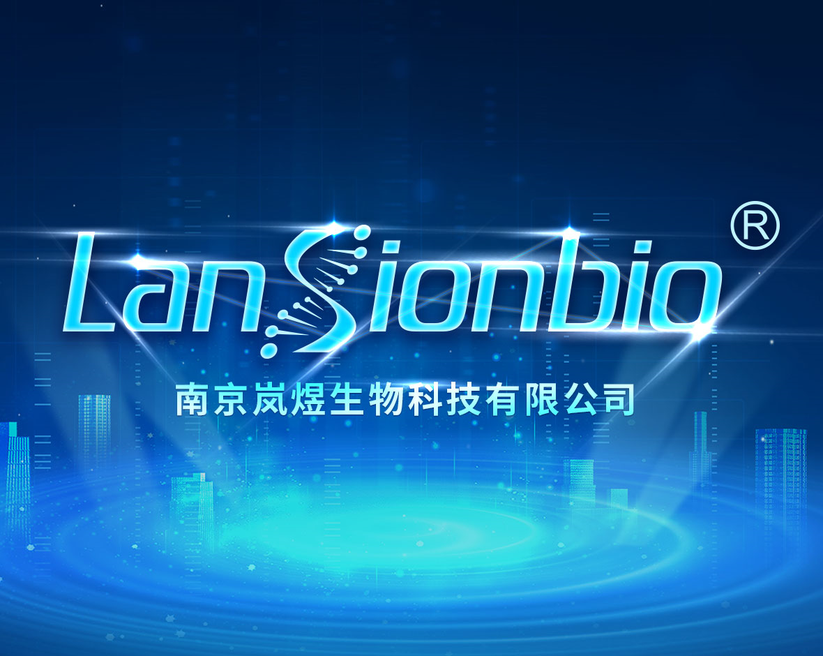 公司文化